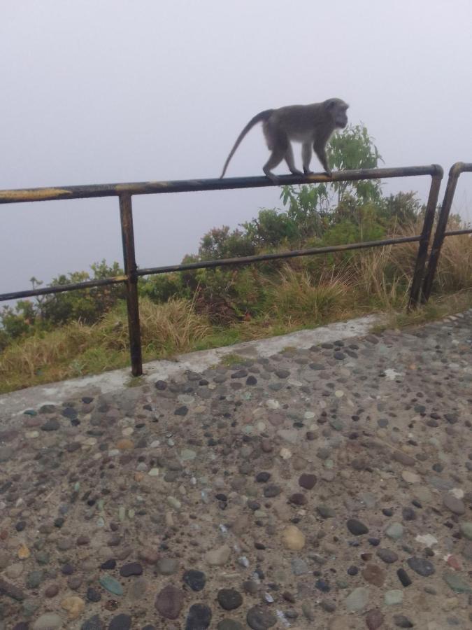 Shila Guest House Kelimutu Esterno foto